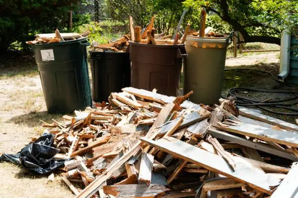 Joels Junk Removal's other services