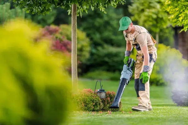 Yard Cleaning Services